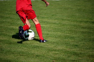 九游sports-篮球运动员训练负荷智能监控系统研发及应用，基础阶段篮球训练负荷安排