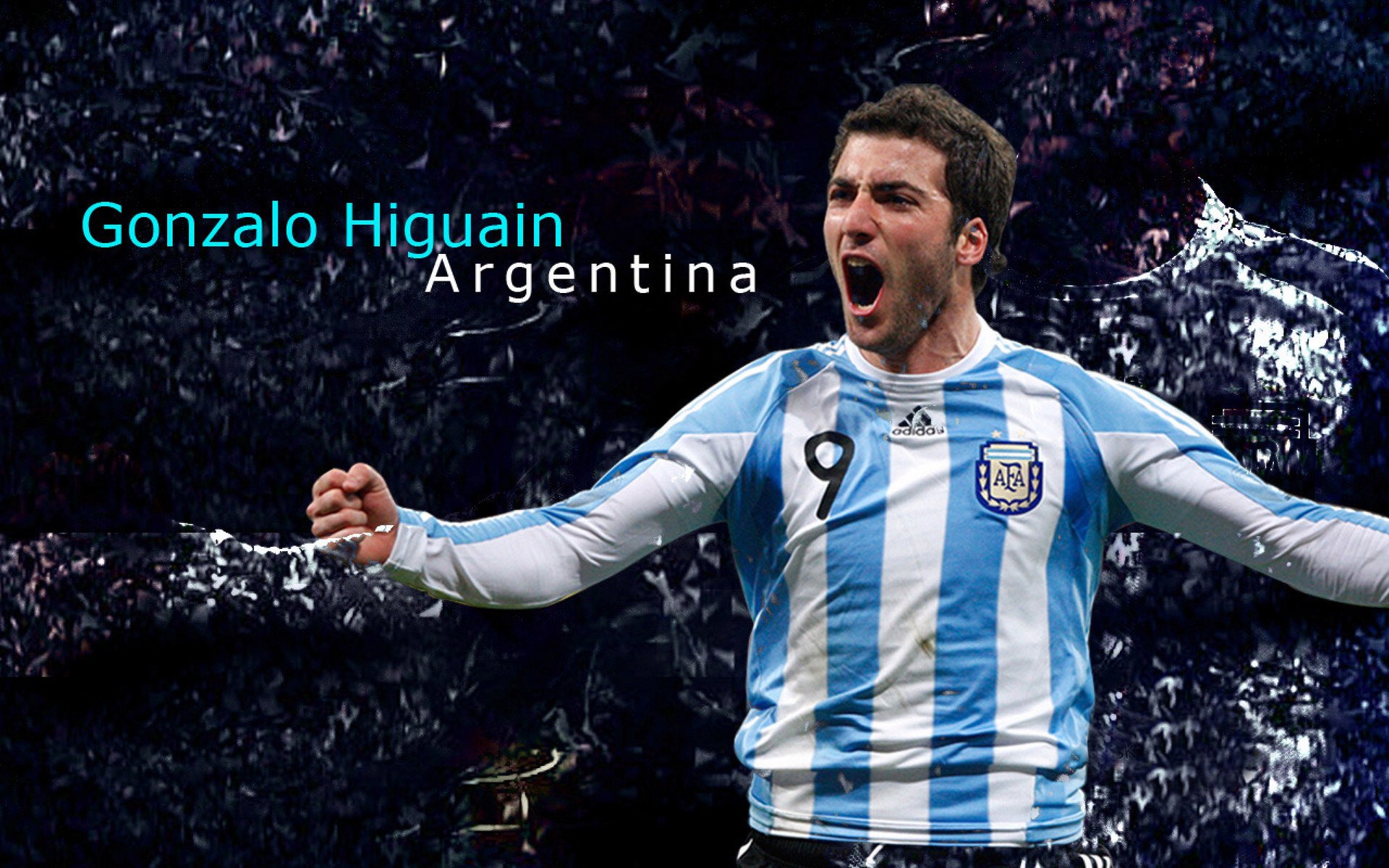 夺冠路上的关键角色：那些或许被低估的玩家，夺取冠军